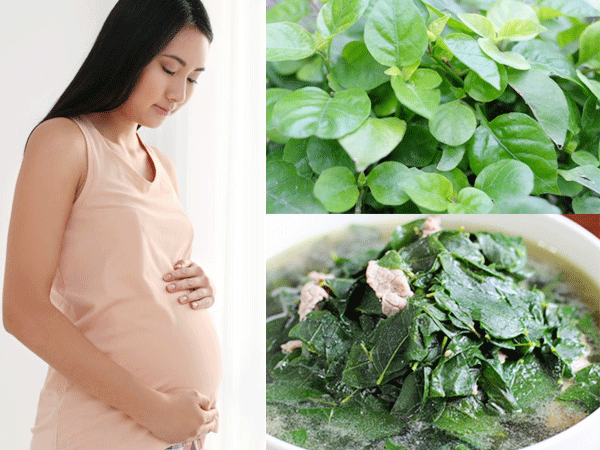 rau càng cua có tốt cho bà bầu